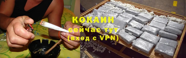 ешки Горняк