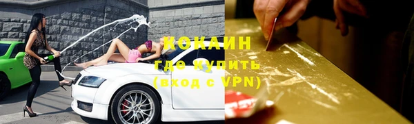 ешки Горняк