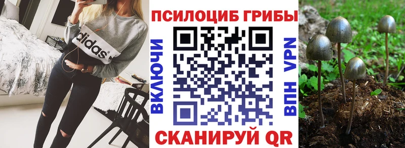маркетплейс наркотические препараты  Королёв  Галлюциногенные грибы Magic Shrooms  купить закладку 